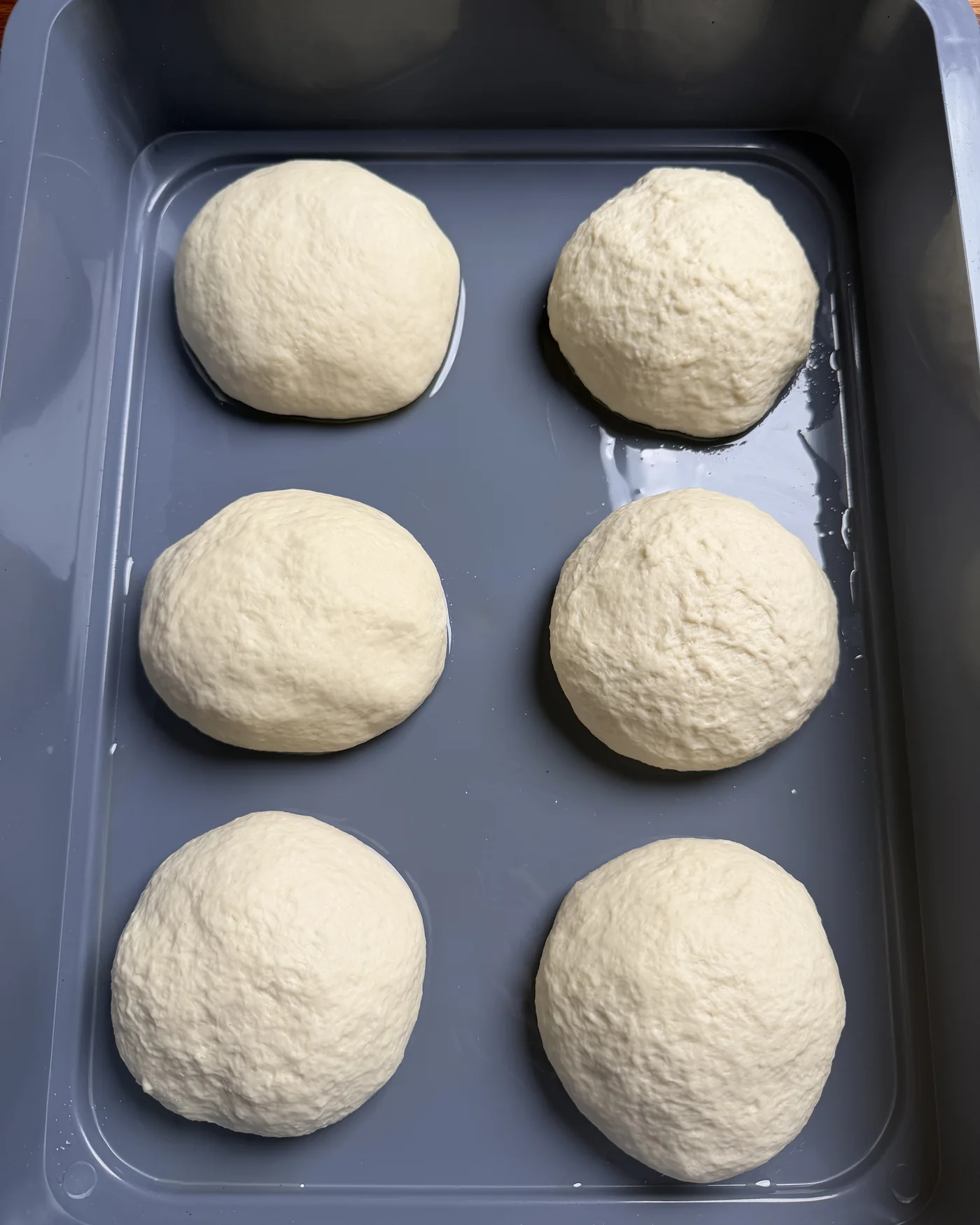 Six rested pizza dough balls in a proofing tray